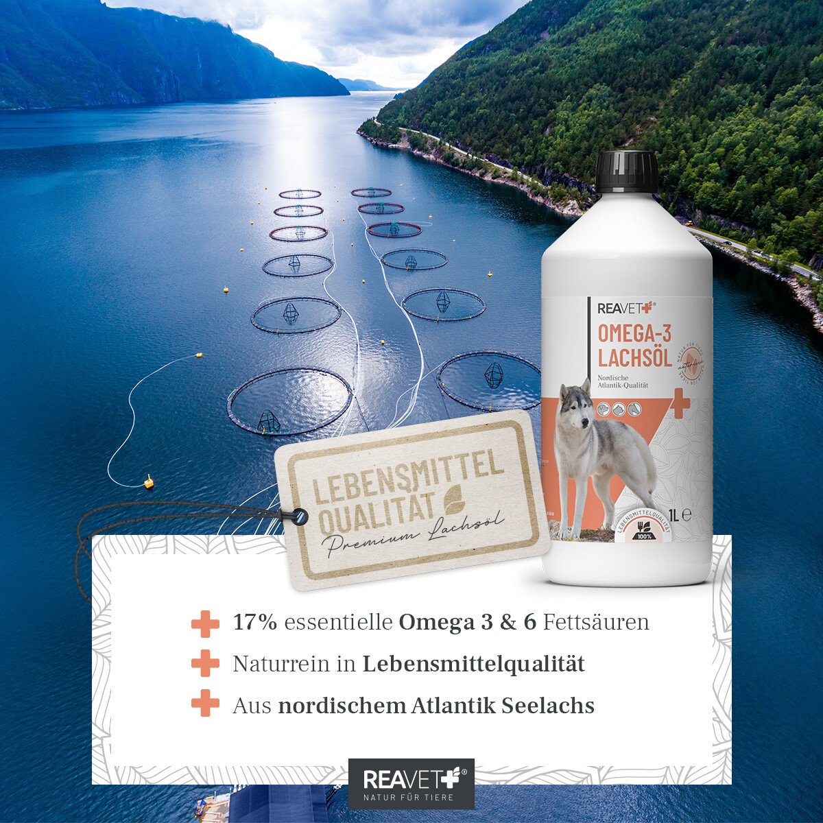 Feeding guide graphic showing dosage by dog/cat size with the included measuring cup